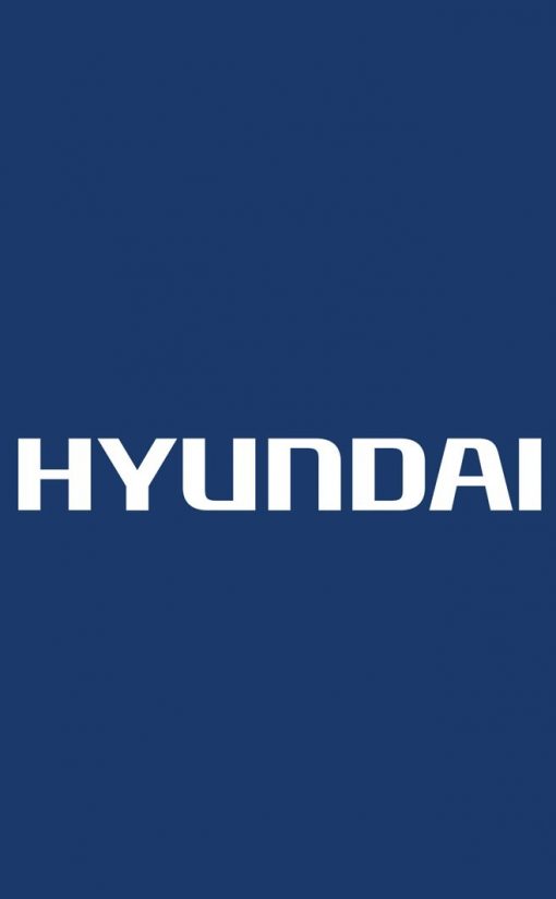 Motobomba De Agua 6.7 Hp 80M Hyundai Hpwp552 $ 8
