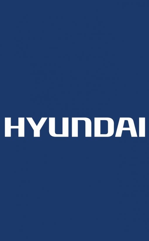 Motobomba Portatil 2.9Hp Hyundai Hyw4540P $ 4