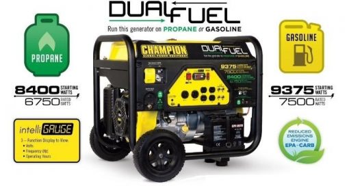Generador Champion Dual A Gasolina O Gas 9375 W $ 29