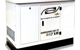 Generador Monofasico 17000 W Gas Lp 35 Hp Evans Estacionario $ 174