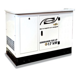 Generador Monofasico 17000 W Gas Lp 35 Hp Evans Estacionario $ 174
