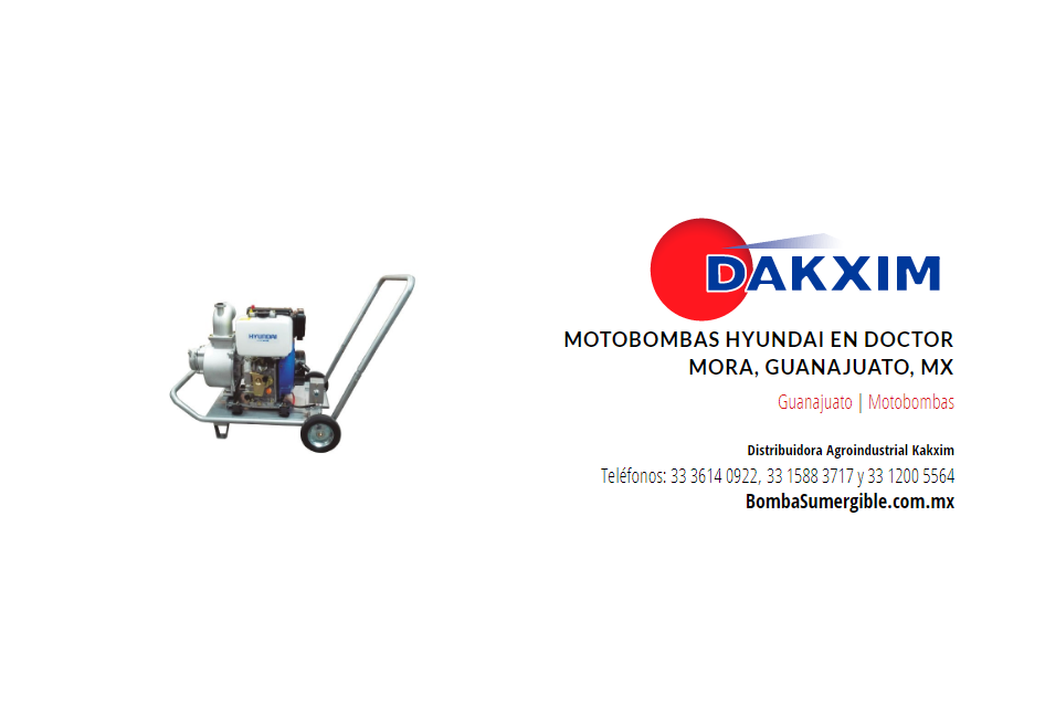 Motobombas Hyundai en Doctor Mora, Guanajuato, Mx
