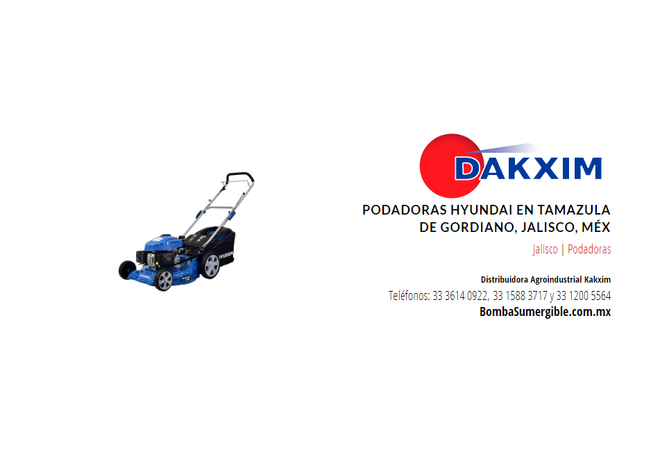 Podadoras Hyundai en Tamazula de Gordiano, Jalisco, Méx