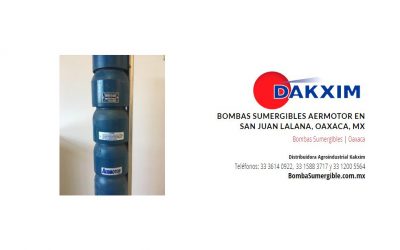 Bombas Sumergibles Aermotor en San Juan Lalana, Oaxaca, MX