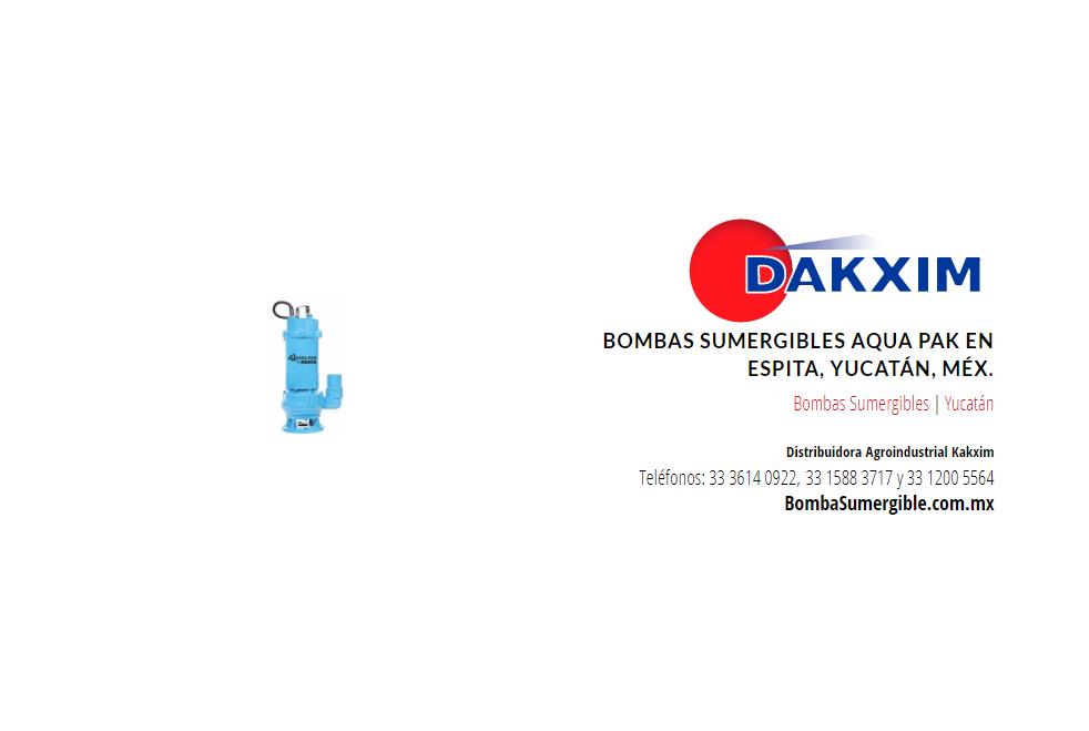 Bombas Sumergibles Aqua Pak en Espita, Yucatán, Méx.
