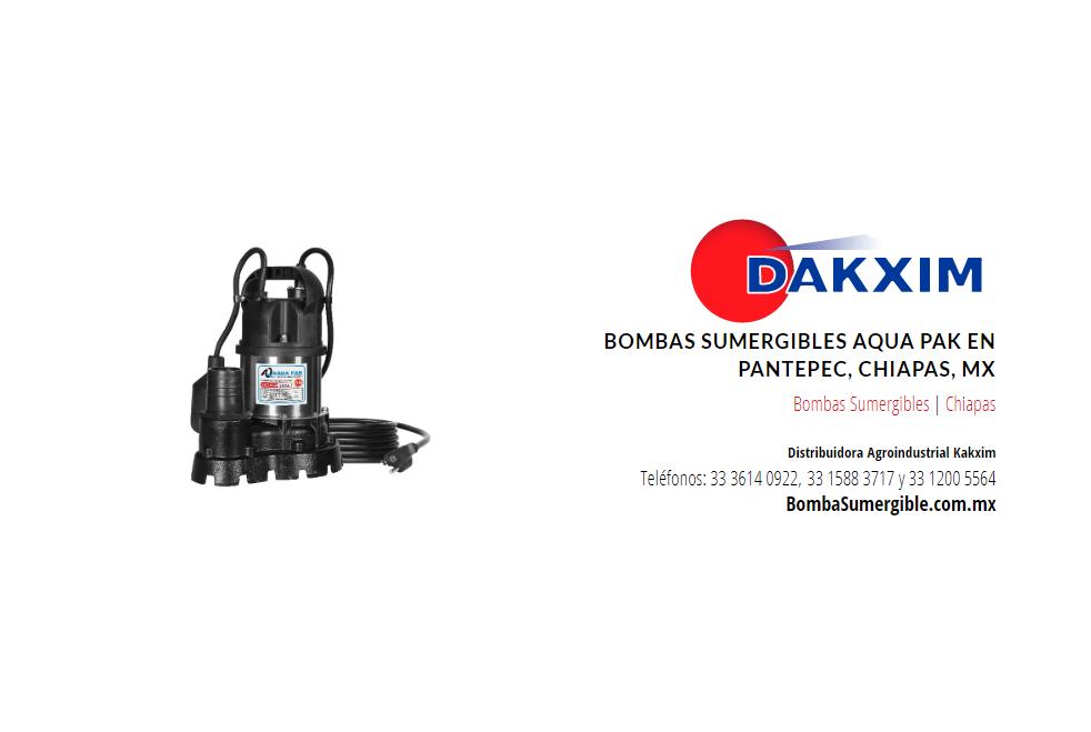 Bombas Sumergibles Aqua Pak en Pantepec, Chiapas, MX