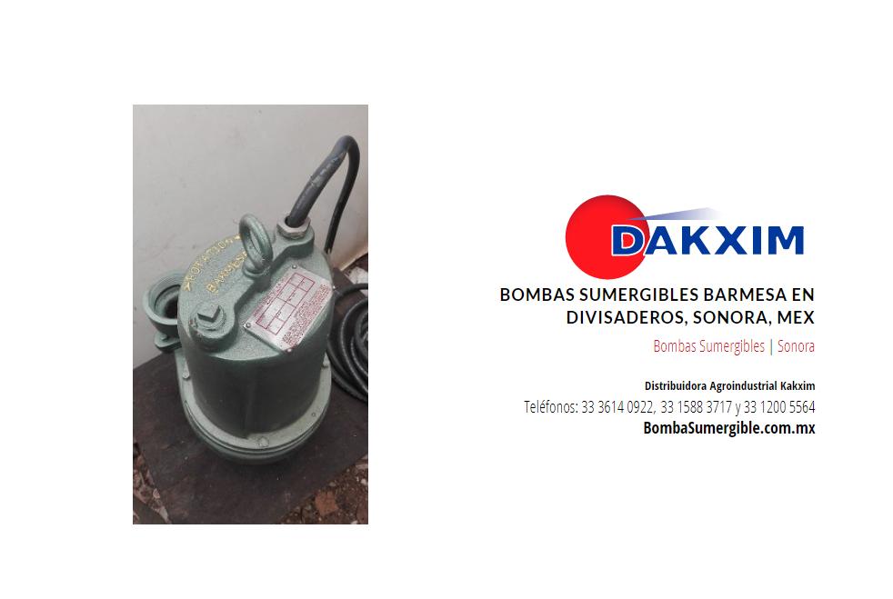 Bombas Sumergibles Barmesa en Divisaderos, Sonora, Mex