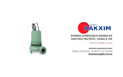Bombas Sumergibles Barnes en Santiago Miltepec, Oaxaca, MX