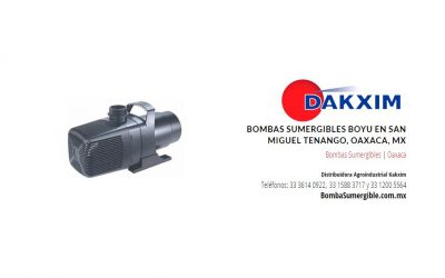 Bombas Sumergibles Boyu en San Miguel Tenango, Oaxaca, MX