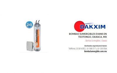 Bombas Sumergibles Evans en Teotongo, Oaxaca, MX