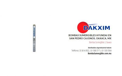 Bombas Sumergibles Hyundai en San Pedro Cajonos, Oaxaca, MX
