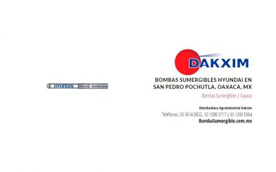 Bombas Sumergibles Hyundai en San Pedro Pochutla, Oaxaca, MX