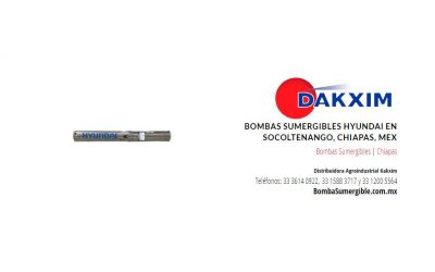 Bombas Sumergibles Hyundai en Socoltenango, Chiapas, Mex