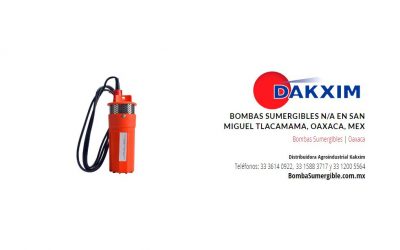 Bombas Sumergibles N/A en San Miguel Tlacamama, Oaxaca, Mex