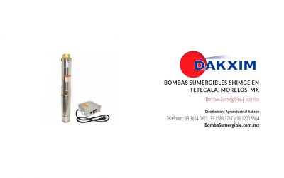 Bombas Sumergibles Shimge en Tetecala, Morelos, Mx