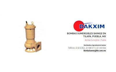 Bombas Sumergibles Shimge en Tilapa, Puebla, MX