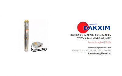 Bombas Sumergibles Shimge en Totolapan, Morelos, Mex.