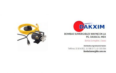 Bombas Sumergibles Wayne en La Pe, Oaxaca, Mex