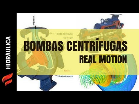 Bombas Centrífugas Real Motion - DAKXIM - Mexico