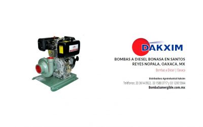 Bombas a Diesel Bonasa en Santos Reyes Nopala, Oaxaca, MX