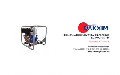 Bombas a Diesel Hyundai en Abasolo, Tamaulipas, Mx