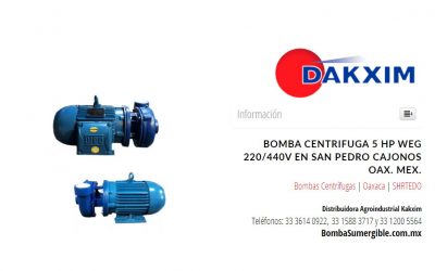 Bomba Centrifuga 5 Hp Weg 220/440v en San Pedro Cajonos Oax. Mex.