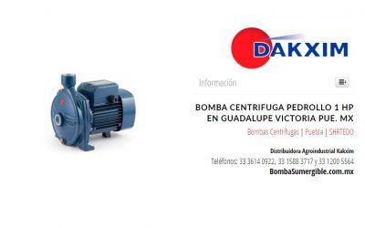 Bomba Centrifuga Pedrollo 1 Hp en Guadalupe Victoria Pue. MX