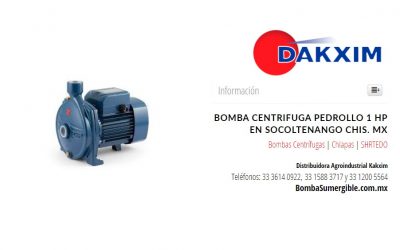 Bomba Centrifuga Pedrollo 1 Hp en Socoltenango Chis. MX