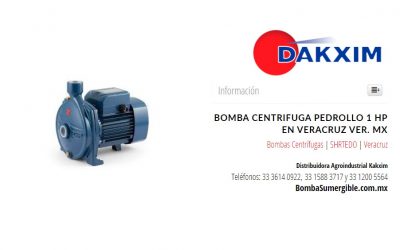 Bomba Centrifuga Pedrollo 1 Hp en Veracruz Ver. MX