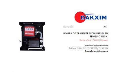 Bomba De Transferencia Diesel en Senguio Mich.