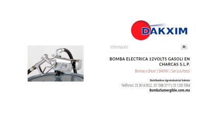 Bomba Electrica 12volts Gasoli en Charcas S.L.P.