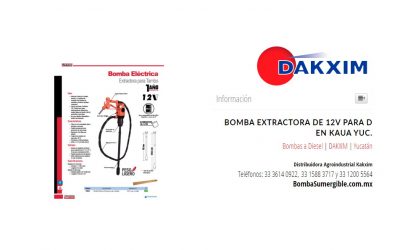 Bomba Extractora De 12v Para D en Kaua Yuc.