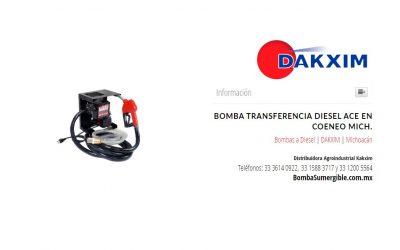 Bomba Transferencia Diesel Ace en Coeneo Mich.