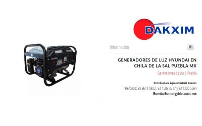 Generadores de Luz Hyundai en Chila de la Sal Puebla MX