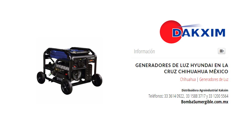 Generadores de Luz Hyundai en La Cruz Chihuahua México