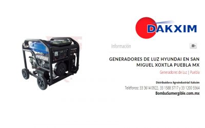 Generadores de Luz Hyundai en San Miguel Xoxtla Puebla Mx