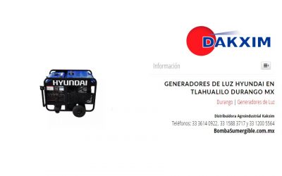 Generadores de Luz Hyundai en Tlahualilo Durango MX