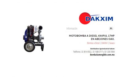 Motobomba A Diesel 4x4pul 17hp en Abejones Oax.