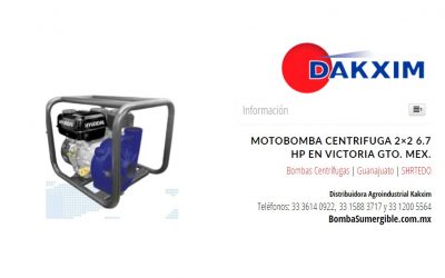 Motobomba Centrifuga 2×2 6.7 Hp en Victoria Gto. Mex.