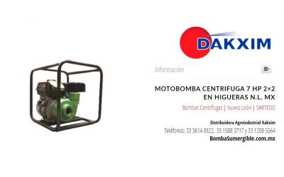 Motobomba Centrifuga 7 Hp 2×2 en Higueras N.L. MX