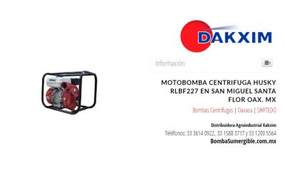 Motobomba Centrifuga Husky Rlbf227 en San Miguel Santa Flor Oax. MX