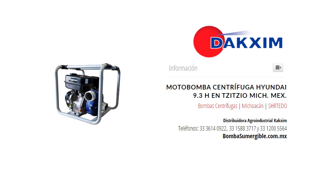 Motobomba Centrífuga Hyundai 9.3 H en Tzitzio Mich. Mex.
