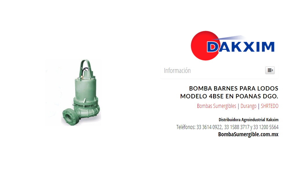 Bomba Barnes Para Lodos Modelo 4bse en Poanas Dgo.