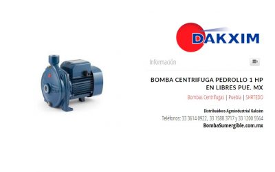 Bomba Centrifuga Pedrollo 1 Hp en Libres Pue. MX