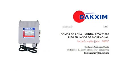 Bomba De Agua Hyundai Hywp1000 Rieg en Lagos de Moreno Jal.