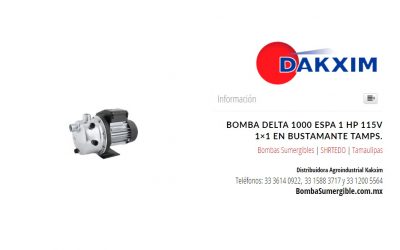 Bomba Delta 1000 Espa 1 Hp 115v 1×1 en Bustamante Tamps.