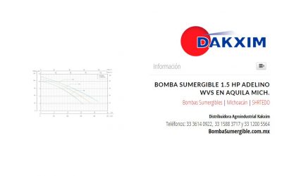 Bomba Sumergible 1.5 Hp Adelino Wvs en Aquila Mich.
