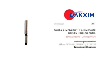 Bomba Sumergible 12.5hp Mpower Bs6s en Hidalgo Coah.