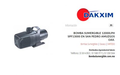 Bomba Sumergible 12000lph Spf13000 en San Pedro Amuzgos Oax.