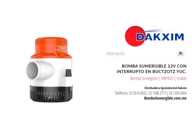 Bomba Sumergible 12v Con Interrupto en Buctzotz Yuc.